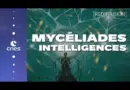[Rediffusion] CNES x Mycéliades : extraterrestres, IA et SF 👽