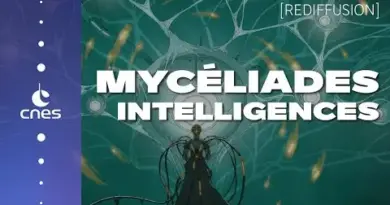 [Rediffusion] CNES x Mycéliades : extraterrestres, IA et SF 👽