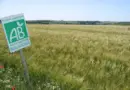 Reliquats d’aide PAC bio : quelles réactions suite à la redistribution présentée par Annie Genevard ?