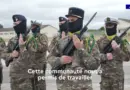 Rencontre avec le CF Caroline, du Centre support cyberdéfense