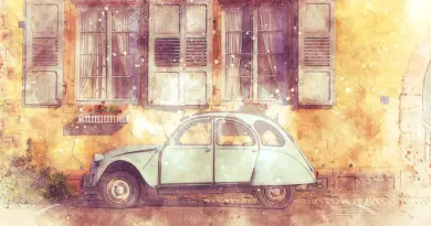 Rencontres d’Arles 2025 : voir pour ne pas oublier