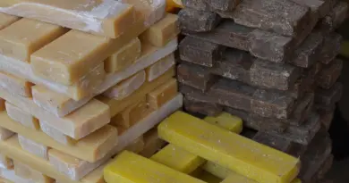 Réunion d’information pour les artisans à Pont-Saint-Esprit
