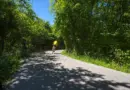 Routes : Eiffage industrialise la fabrication des liants végétaux pour remplacer le bitume