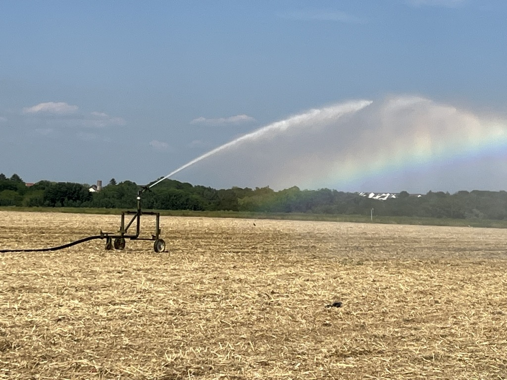 Sécheresse 2025 : quelle carte des restrictions d’eau et quelles limitations de l’irrigation par département ?