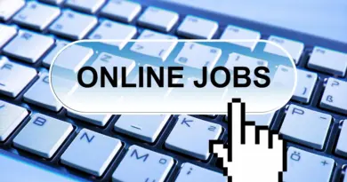 Senior Site Merchandiser – E-Commerce Expert