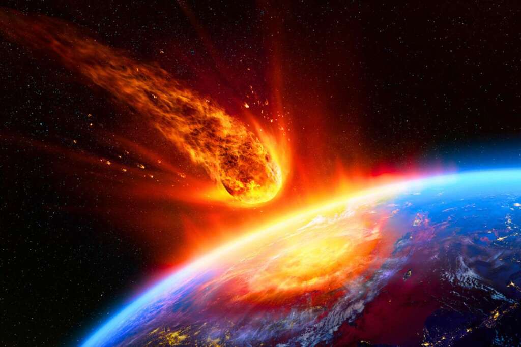 Si l’humanité disparaissait, voici l’espèce improbable qui règnerait sur Terre !