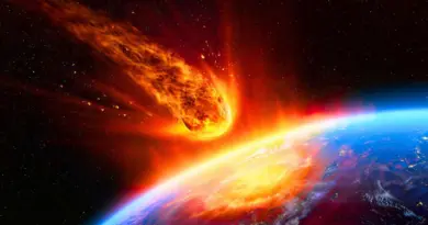 Si l’humanité disparaissait, voici l’espèce improbable qui règnerait sur Terre !