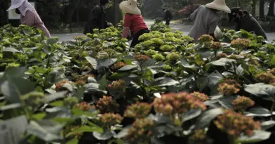Social. Le taux d’emploi des seniors a poursuivi sa hausse en 2024 pour atteindre un nouveau record