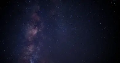 Superman : avez-vous reconnu tous les acteurs des Gardiens de la Galaxie qui se cachent dans le film de James Gunn ?