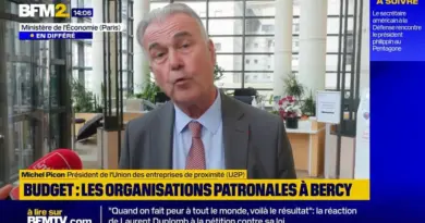 Suppression de deux jours fériés: l’inquiétude de l’Union des entreprises de proximité