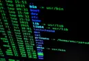 Symantec – CVE-2025-5333