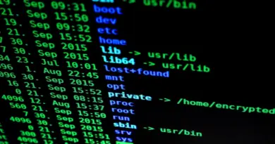 Symantec – CVE-2025-5333