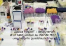 Système sanguin, intoxication alimentaire et climat : l’actu des sciences en ultrabrèves