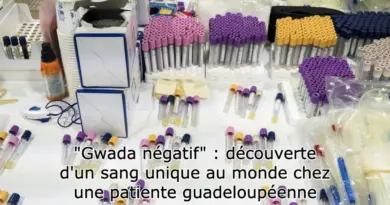 Système sanguin, intoxication alimentaire et climat : l’actu des sciences en ultrabrèves