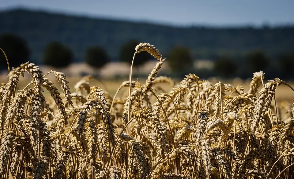 Technologies innovantes : Optimiser la gestion agricole