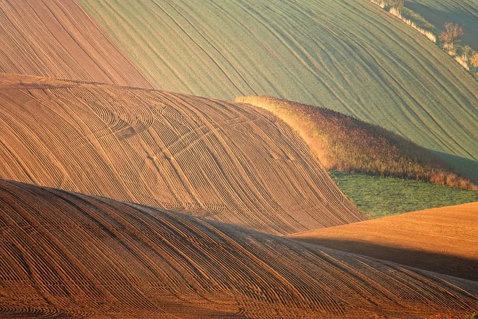Top départ de la Caravane de l’emploi agricole, un dispositif pour enrayer la pénurie de main-d’œuvre – Outre-mer la 1ère