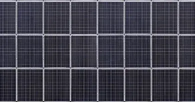 Transition écologique : la Métropole de Lyon distinguée 5 étoiles par le label Climat-Air-Énergie