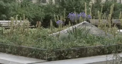 Travaux dans le 11e arrondissement de Paris : la construction d’esplanades divise les habitants