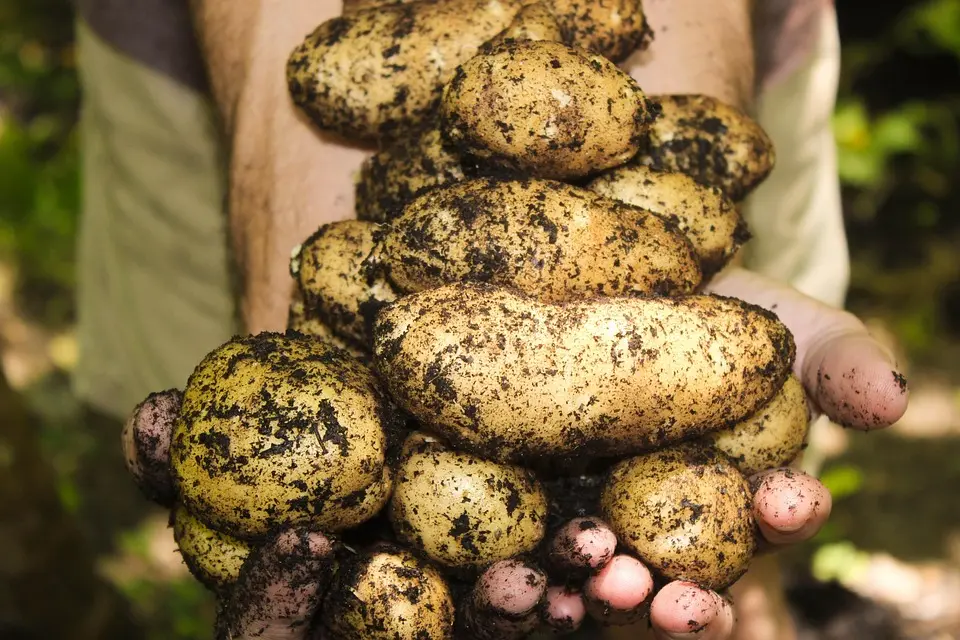 Un collectif d’entraide entre agricultrices audoises reçoit le prix de l’Économie Sociale et Solidaire 2024 de la Cress Occitanie