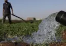 « Un scénario catastrophique se profilait »: au Maroc, l’eau dessalée sauve l’agriculture face à la sécheresse