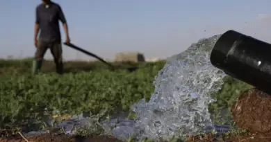 « Un scénario catastrophique se profilait »: au Maroc, l’eau dessalée sauve l’agriculture face à la sécheresse