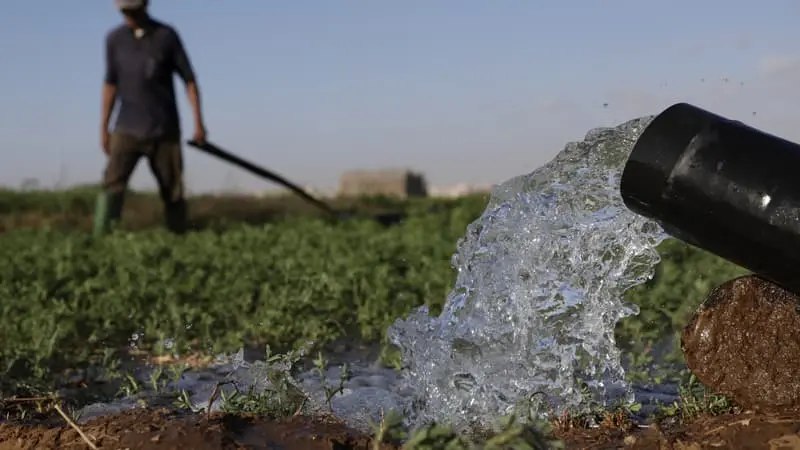 « Un scénario catastrophique se profilait »: au Maroc, l’eau dessalée sauve l’agriculture face à la sécheresse