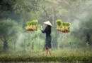 Une carte de lecture collective pour s’adapter aux effets du réchauffement | Agriculture Massif central