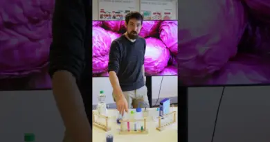 Une expérience de chimie chez toi avec du chou rouge ! 👀