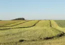 Une ferme pilote en projet à El-Meniaa pour renforcer la formation agricole