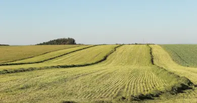 Une ferme pilote en projet à El-Meniaa pour renforcer la formation agricole
