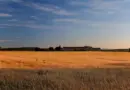 Une nouvelle exposition estivale au musée Réattu – Du 05/07/2025 au 05/10/2025 – Arles – frequence-sud.fr
