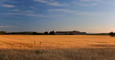 Une nouvelle exposition estivale au musée Réattu – Du 05/07/2025 au 05/10/2025 – Arles – frequence-sud.fr