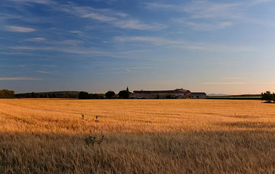 Une nouvelle exposition estivale au musée Réattu – Du 05/07/2025 au 05/10/2025 – Arles – frequence-sud.fr