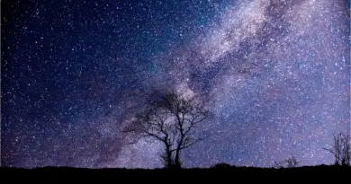 Une soirée d’observation astronomique gratuite avec la Nuit des étoiles à Fontenay-le-Comte – Ouest-France