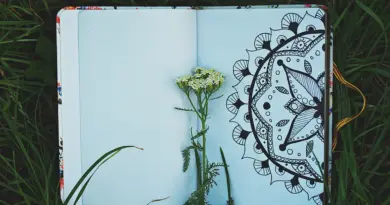 VIDÉO. Le public reprend à l’unisson Grenade de Clara Luciani à Art Sonic – Ouest-France