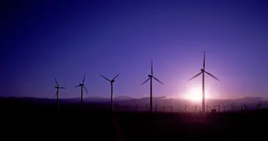 VIDÉO. L’énergie communicative d’Adèle Castillon, sur la scène des Vieilles Charrues – Ouest-France