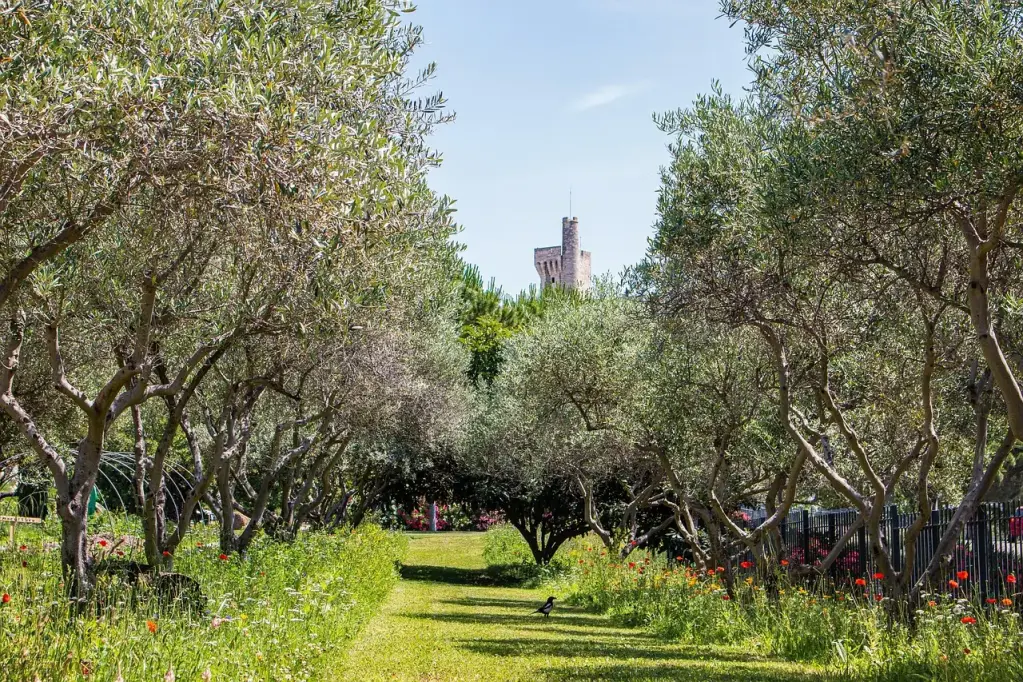 VILLENEUVE-LÈS-AVIGNON Plus de dix millions d’euros d’investissements en 2025
