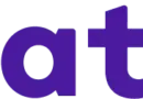 VP Internal Audit