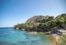 Vidéo | Des enfants créent une réserve marine pour protéger la biodiversité dans les calanques