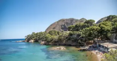 Vidéo | Des enfants créent une réserve marine pour protéger la biodiversité dans les calanques