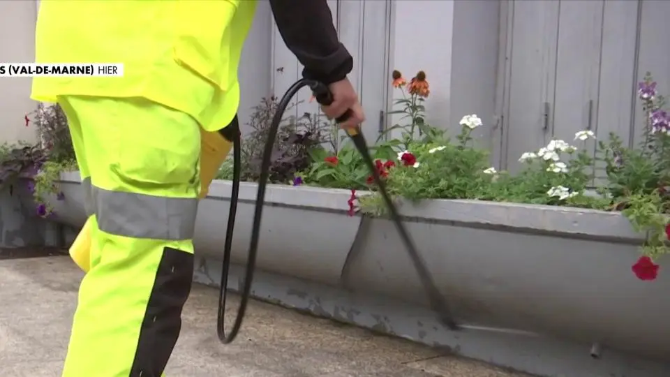 Villeneuve-Saint-Georges : la mairie parfume désormais les rues à la fraise pour camoufler les odeurs d’urine