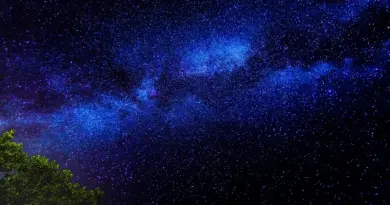 Villeneuve-en-Retz. Au musée, venez explorer le monde des étoiles – Ouest-France