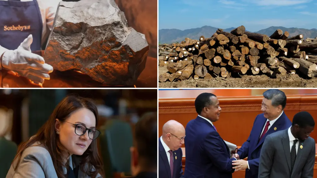 [Vos questions] Niger : la plus grosse roche de Mars vendue aux enchères