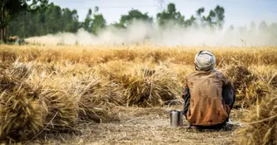 Vosges. L’agrivoltaïque, une pratique qui a de l’avenir selon la chambre d’agriculture – Vosges Matin