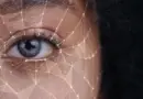 Votre CyberLettre