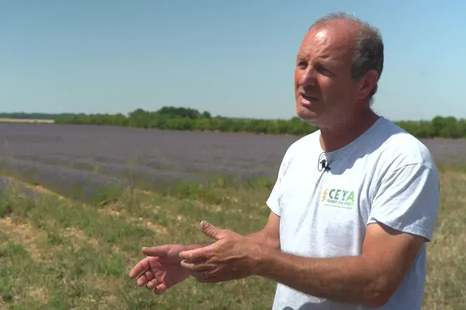 « Vous gagnez plus qu’avec un champ de colza » : ces agriculteurs se sont lancés dans la culture de lavande… dans le Berry