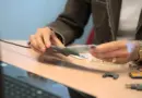Voyager plus facilement avec les nouvelles technologies