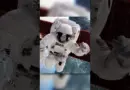 What If An Astronaut Passed In Space