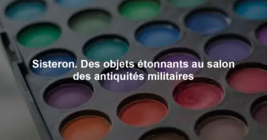 Sisteron. Des objets étonnants au salon des antiquités militaires
