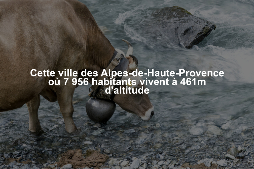 Cette ville des Alpes-de-Haute-Provence où 7 956 habitants vivent à 461m d’altitude
